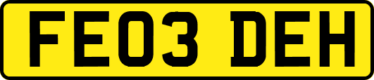 FE03DEH
