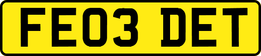 FE03DET