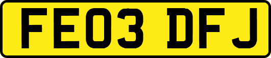 FE03DFJ