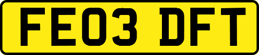FE03DFT