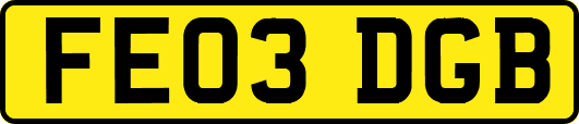FE03DGB