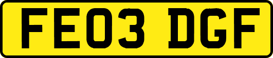 FE03DGF