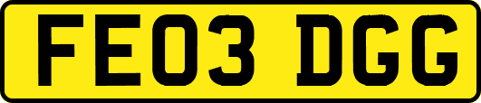 FE03DGG
