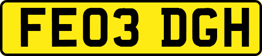 FE03DGH