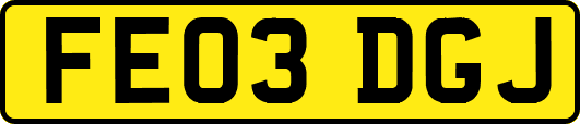 FE03DGJ