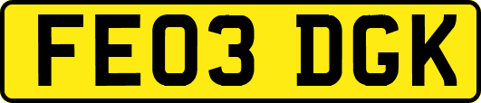 FE03DGK