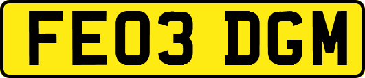 FE03DGM