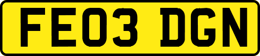 FE03DGN