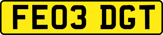 FE03DGT