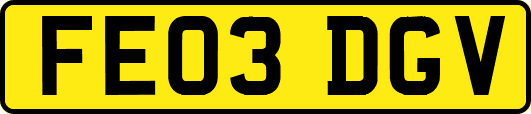 FE03DGV