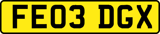 FE03DGX