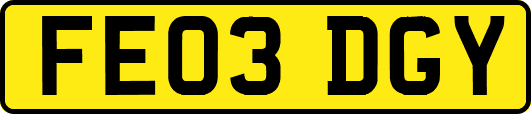 FE03DGY