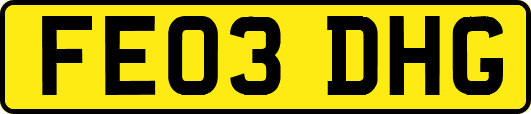 FE03DHG