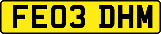 FE03DHM