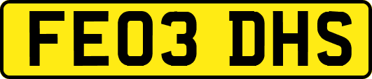 FE03DHS