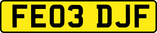 FE03DJF