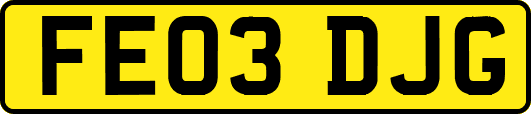 FE03DJG