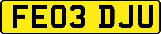 FE03DJU