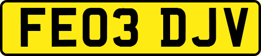 FE03DJV