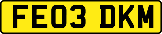 FE03DKM