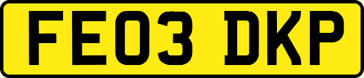 FE03DKP