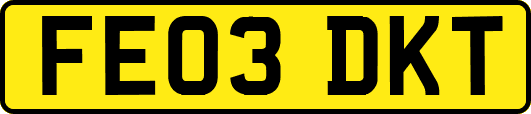 FE03DKT