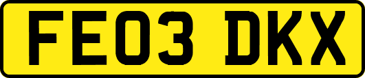 FE03DKX