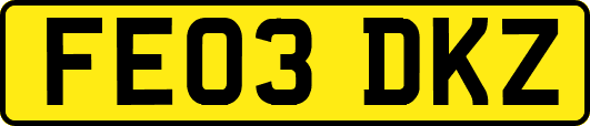 FE03DKZ
