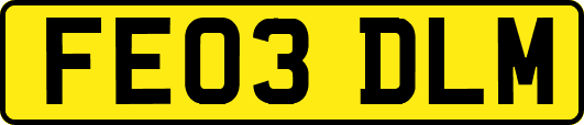 FE03DLM
