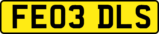 FE03DLS