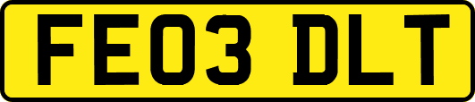 FE03DLT