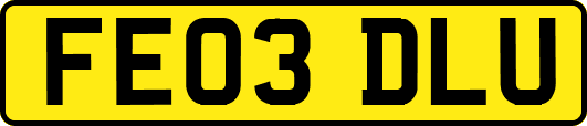 FE03DLU