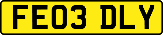 FE03DLY