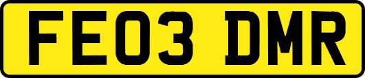 FE03DMR