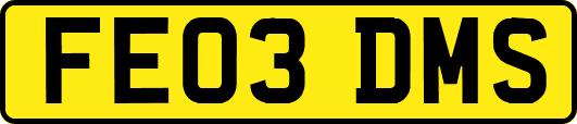 FE03DMS