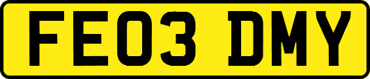 FE03DMY