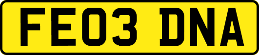 FE03DNA