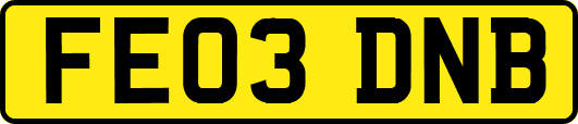 FE03DNB