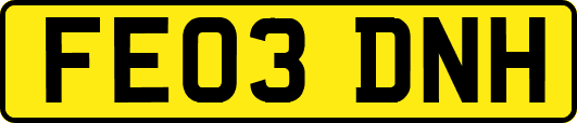 FE03DNH