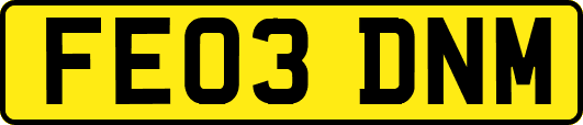 FE03DNM