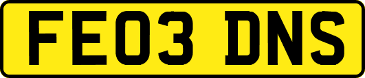 FE03DNS