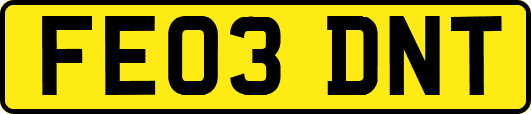 FE03DNT