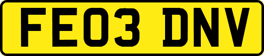 FE03DNV
