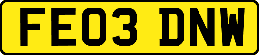 FE03DNW