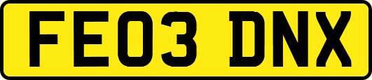 FE03DNX