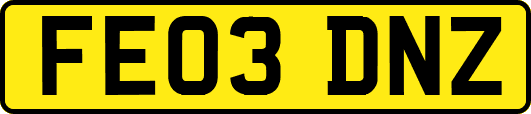 FE03DNZ
