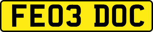 FE03DOC