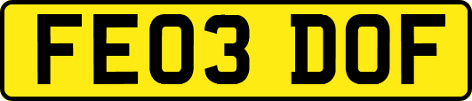 FE03DOF