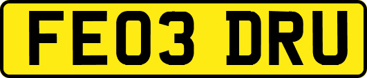 FE03DRU
