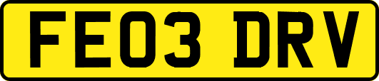 FE03DRV